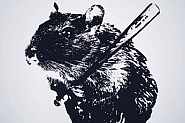 Гневът на мишките: Ще има ли случай а ла Фицо в България? По-скоро „да“