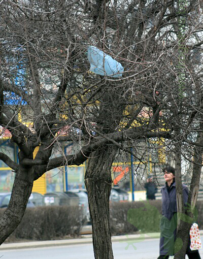 nailoni_durveta_13.jpg nailoni_durveta_13.jpg