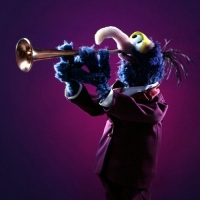 gonzo