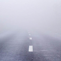fognews