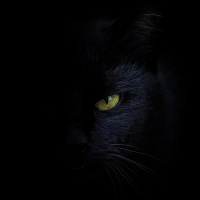 Devil