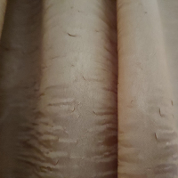 Koki79