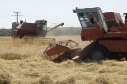 Асоциацията на зърнопроизводителите предупреждава че новата наредба на Министерството на