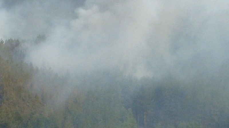 Горски пожар бушува край Белица Огънят е пламнал над белишкото