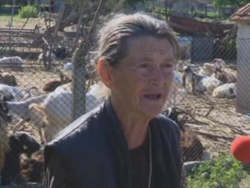 Започна евтанизирането на козите на баба Дора от ямболското село