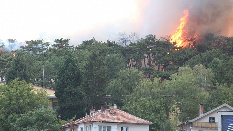 Пожар избухна на метри от стадион Берое в Стара Загора