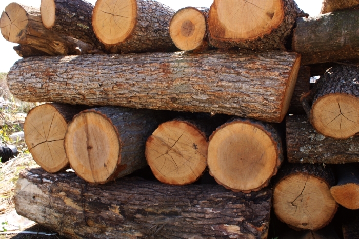 54 от населението в България използват за отопление дърва и