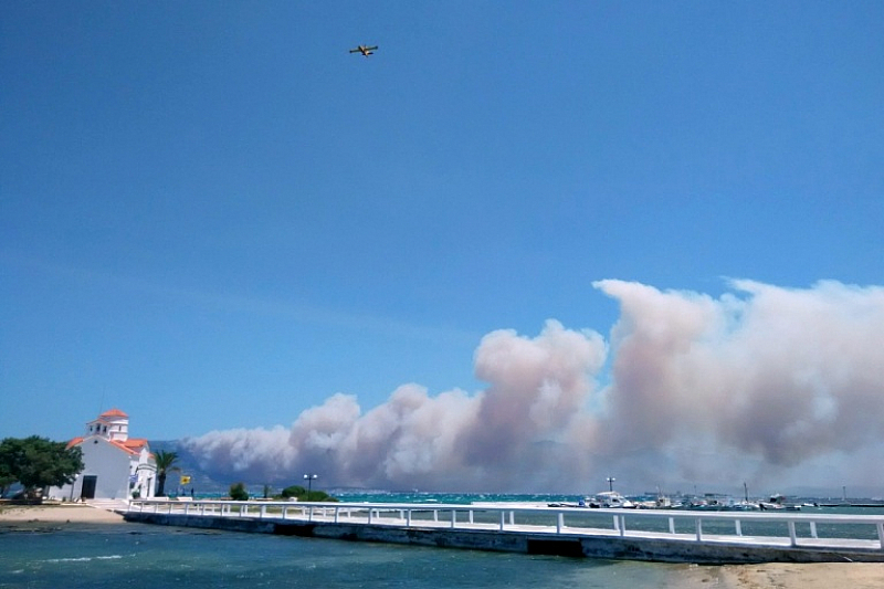 Повече от 50 горски пожара бушуват на територията на Гърция