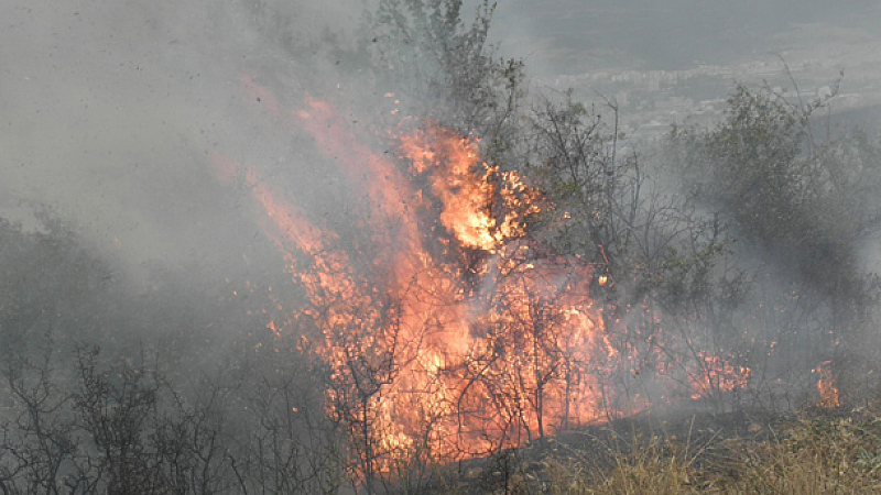 Пожар избухна в гората над Сливница предаде bTV Няма данни