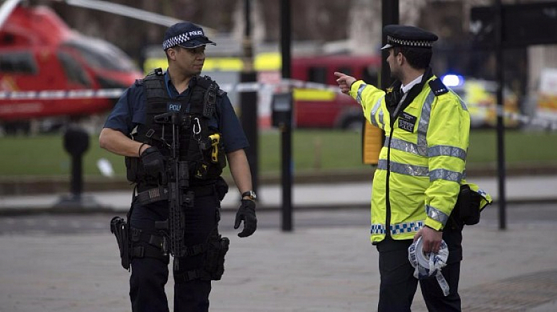 Британската полиция арестува на лондонското летище Гетуик шведска гражданка по