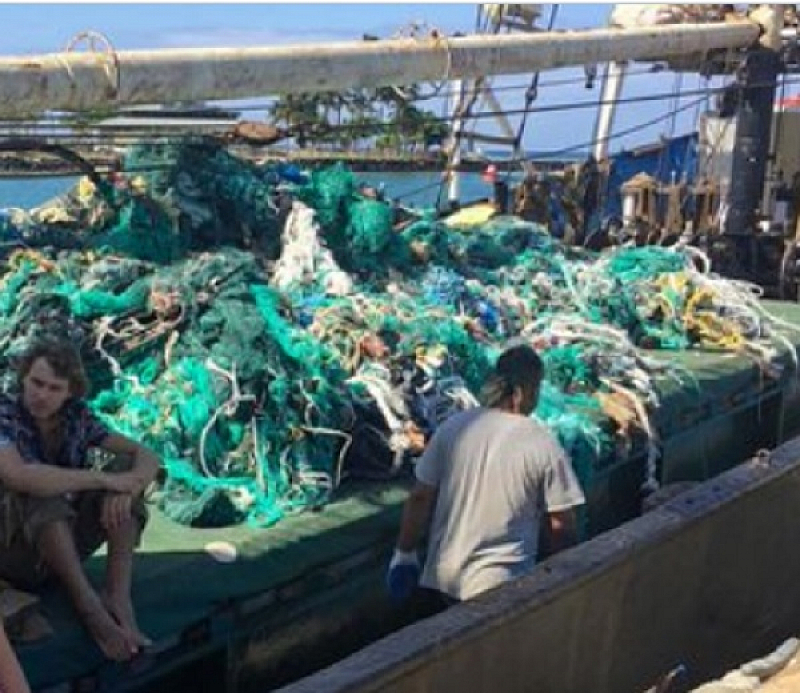 Само за месец природозащитници събраха 40 тона изоставени рибарски мрежи