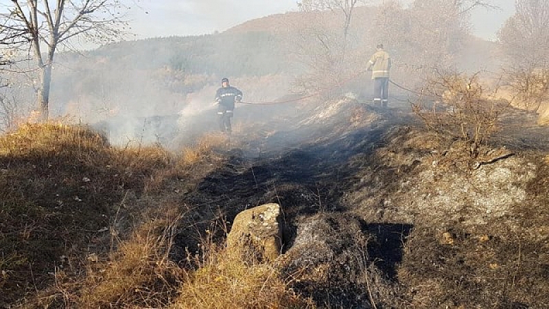 Голям пожар бушува в гориста местност край врачанското село Струпец Хората