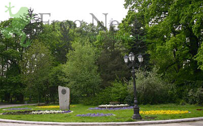bor_gradina.jpg bor_gradina.jpg
