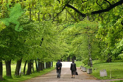 bor_gradina_11.jpg bor_gradina_11.jpg