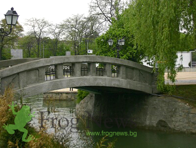 bor_gradina_19.jpg bor_gradina_19.jpg
