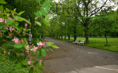 bor_gradina_5.jpg bor_gradina_5.jpg