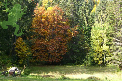 carska_bistrica.jpg carska_bistrica.jpg