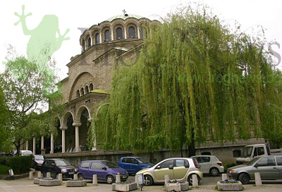 dvijenie_v_sofia_11.jpg dvijenie_v_sofia_11.jpg