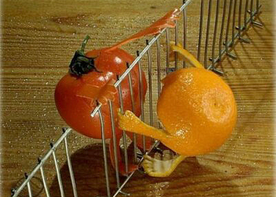 image018.jpg