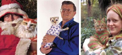 kotki3.jpg kotki3.jpg
