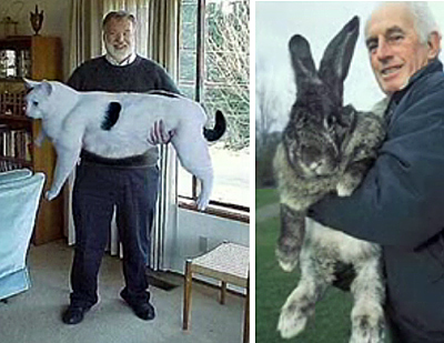ogromni_jivotni.jpg