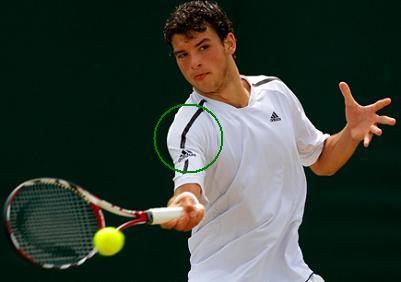 tennis-wimbledon2008-grigor-dimitrov-shoulder.jpg