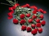 Забраниха червени рози и сърца в Саудитска Арабия на 14 февруари