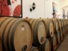 България става лидер във винопроизводството