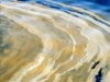 Огромни са щетите от екокатастрофата в Мексиканския залив
