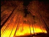 Гърция продължава да гори, тридневен траур за загиналите в пожарите