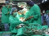 Трансплантациите в чужбина - грижа на държавата