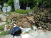 Цигани рушат и грабят в софийските гробища