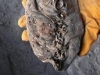Откриха най-старата обувка на 7 хил. години