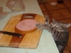 Котка не харесва новите колбаси