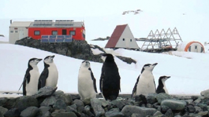 За Антарктида замина първата ни група