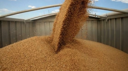 Добра реколта натиска цените на зърното, кооперации работят на загуба