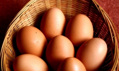 Цената на яйцата падна с една стотинка