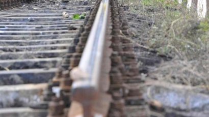 Товарен влак се преобърна между гарите Яна и Мусачево заради кражба от релсите