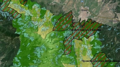 50 000 декара вековни гори в Пирин или 300 км писти