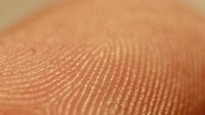 ФРОГОКО: Системата за пръстовия отпечатък дава фира