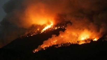 БАН предупреди: огромна опасност от пожари в Югоизточна България