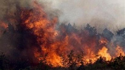 Намерен е виновникът за пожара край Лесово