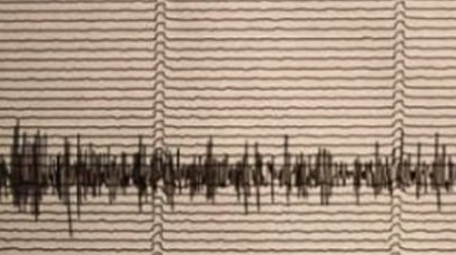 Земетресение на 43 км. от Смолян