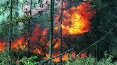 Овладяна е най-критичната част от пожара в Рила