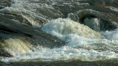 Мъртва риба изплува в река Янтра