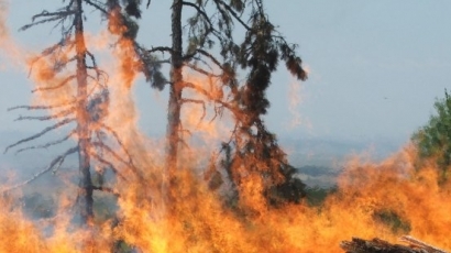 Огнен ужас! Харманлийско гори от вси страни