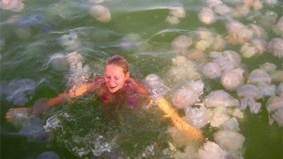 Внимание! Нашествие на медузи по Черноморието
