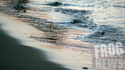 Тяло на изчезнало момиче изплува от морето край Варна