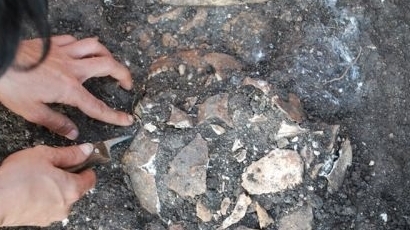 Откриха игла на 50 000 години