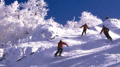 Морени на Витоша станали ски писти